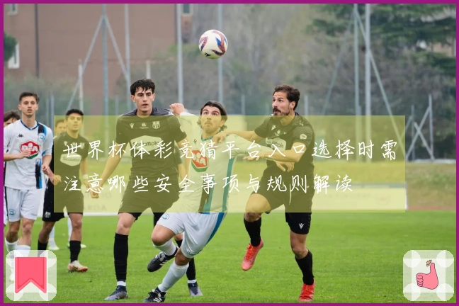 世界杯体彩竞猜平台入口选择时需注意哪些安全事项与规则解读