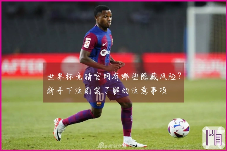 世界杯竞猜官网有哪些隐藏风险？新手下注前需了解的注意事项