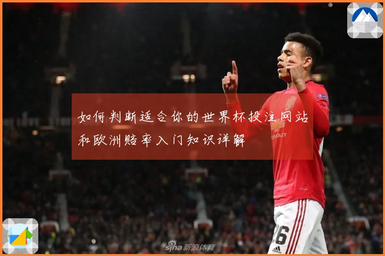 如何判断适合你的世界杯投注网站和欧洲赔率入门知识详解