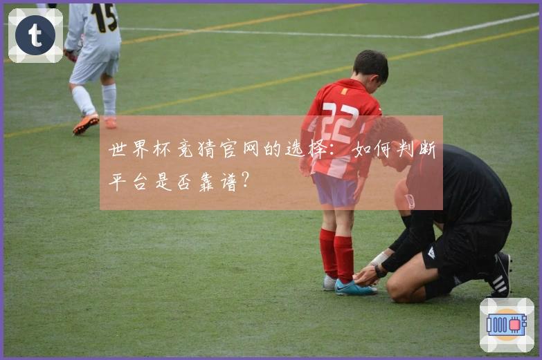 世界杯竞猜官网的选择：如何判断平台是否靠谱？