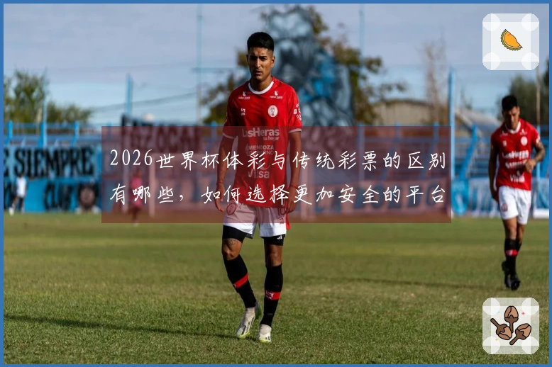 2026世界杯体彩与传统彩票的区别有哪些，如何选择更加安全的平台？
