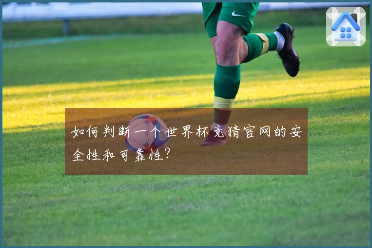 如何判断一个世界杯竞猜官网的安全性和可靠性？