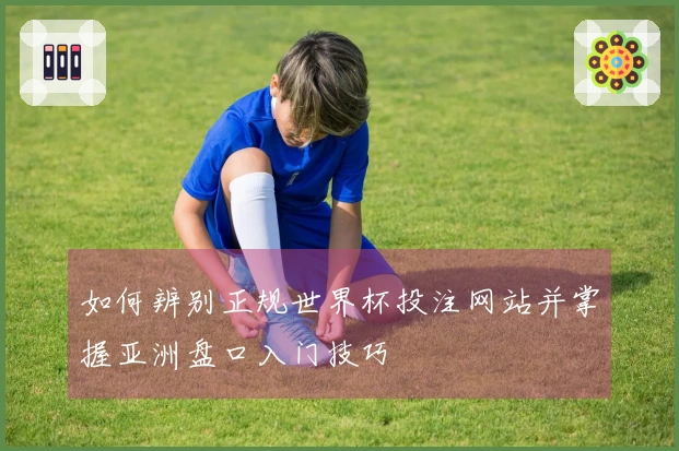 如何辨别正规世界杯投注网站并掌握亚洲盘口入门技巧