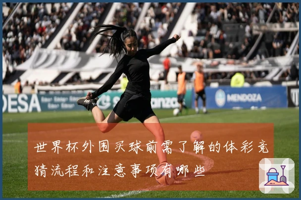 世界杯外围买球前需了解的体彩竞猜流程和注意事项有哪些