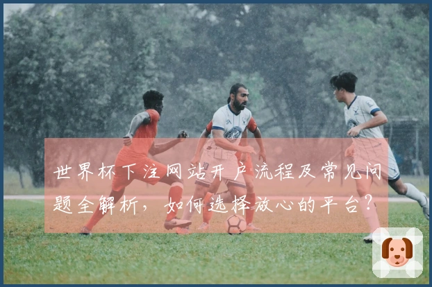 世界杯下注网站开户流程及常见问题全解析，如何选择放心的平台？