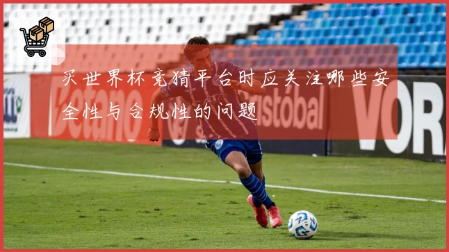 买世界杯竞猜平台时应关注哪些安全性与合规性的问题