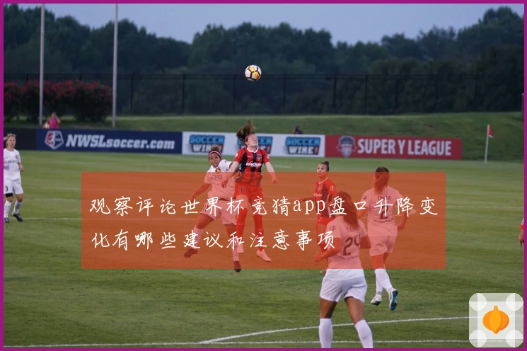 观察评论世界杯竞猜app盘口升降变化有哪些建议和注意事项