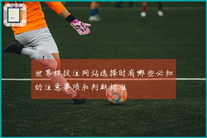 世界杯投注网站选择时有哪些必知的注意事项和判断标准