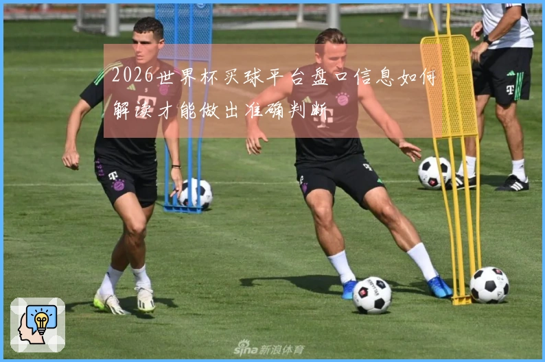 2026世界杯买球平台盘口信息如何解读才能做出准确判断
