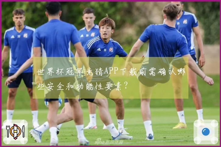世界杯冠军竞猜APP下载前需确认哪些安全和功能性要素？