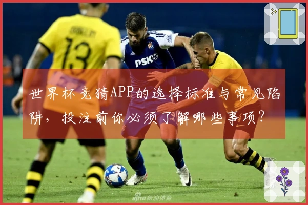 世界杯竞猜APP的选择标准与常见陷阱，投注前你必须了解哪些事项？