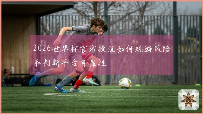 2026世界杯官方投注如何规避风险和判断平台可靠性