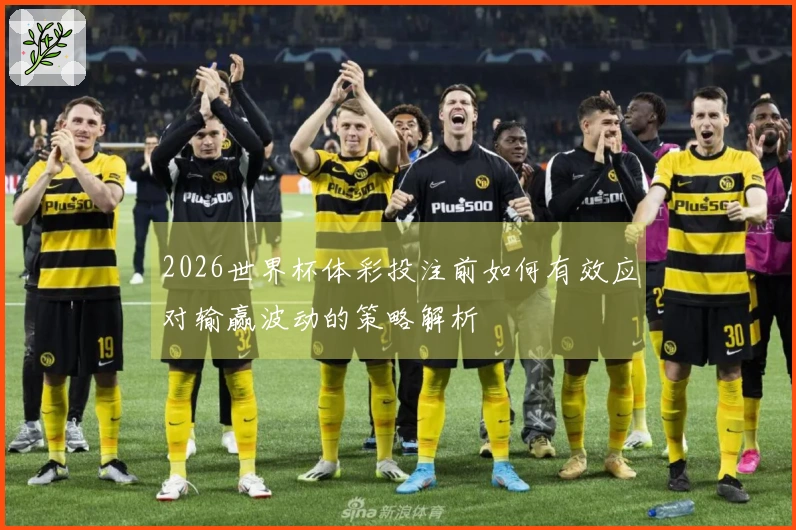 2026世界杯体彩投注前如何有效应对输赢波动的策略解析