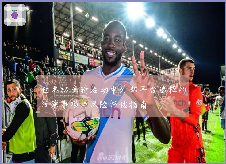 世界杯竞猜活动中外部平台选择的注意事项与风险评估指南
