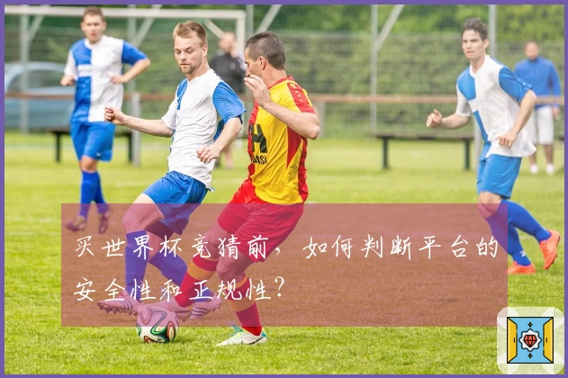买世界杯竞猜前，如何判断平台的安全性和正规性？