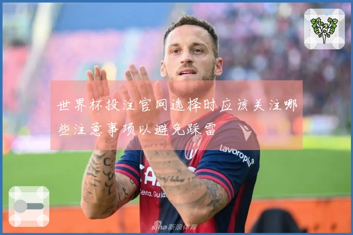 世界杯投注官网选择时应该关注哪些注意事项以避免踩雷