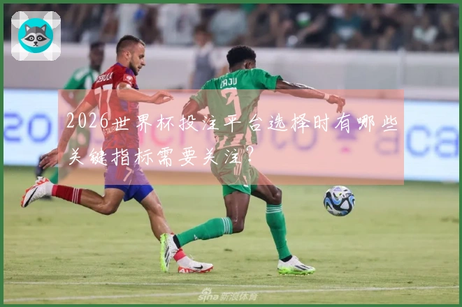 2026世界杯投注平台选择时有哪些关键指标需要关注？