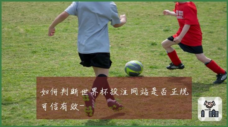如何判断世界杯投注网站是否正规可信有效-