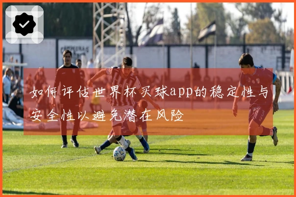 如何评估世界杯买球app的稳定性与安全性以避免潜在风险