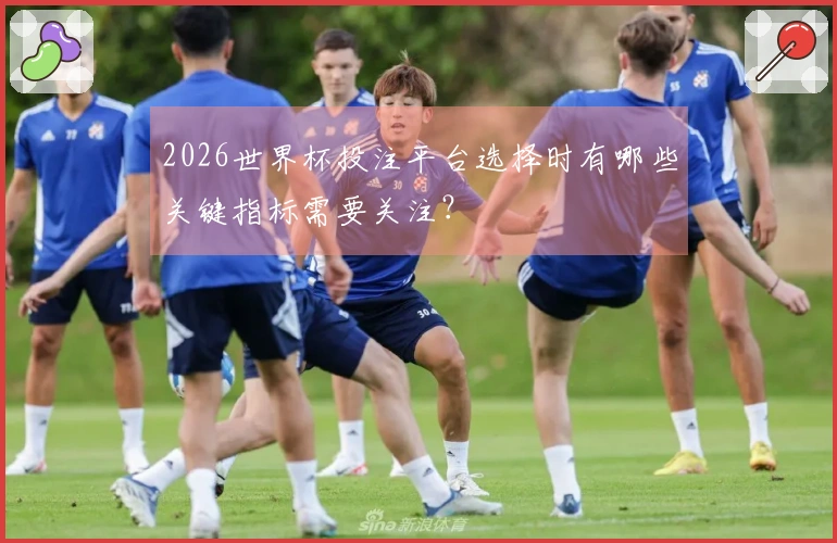 2026世界杯投注平台选择时有哪些关键指标需要关注？