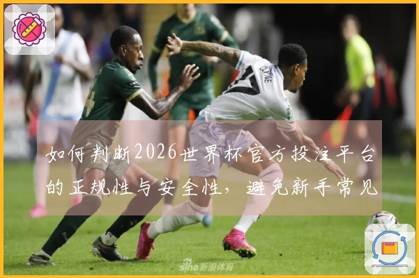 如何判断2026世界杯官方投注平台的正规性与安全性，避免新手常见误区