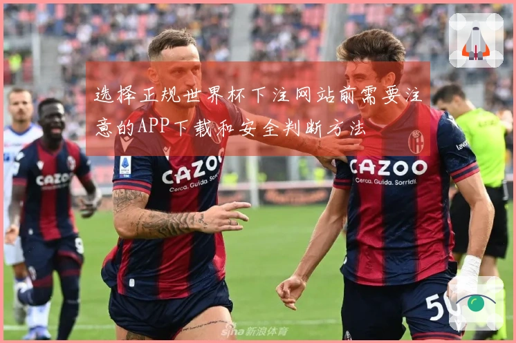 选择正规世界杯下注网站前需要注意的APP下载和安全判断方法