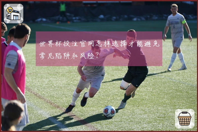 世界杯投注官网怎样选择才能避免常见陷阱和风险？