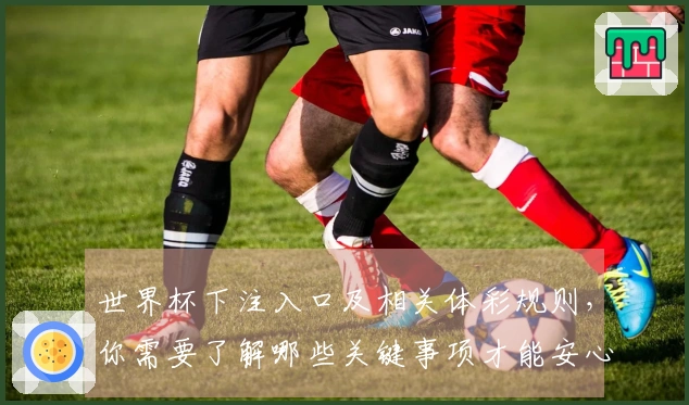 世界杯下注入口及相关体彩规则，你需要了解哪些关键事项才能安心投注