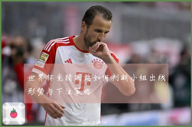 世界杯竞猜网站如何判断小组出线形势与下注策略