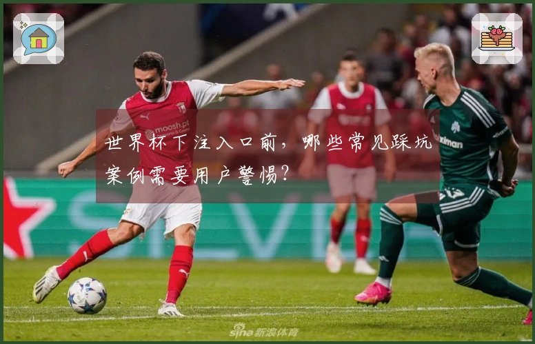 世界杯下注入口前，哪些常见踩坑案例需要用户警惕？