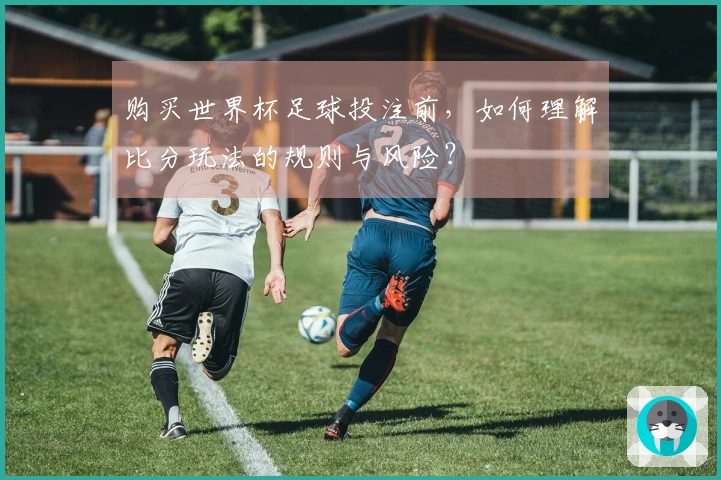 购买世界杯足球投注前，如何理解比分玩法的规则与风险？